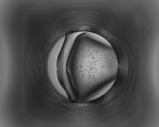 X0000083590462200703021850
