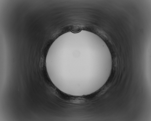 X0000083590463200703021850