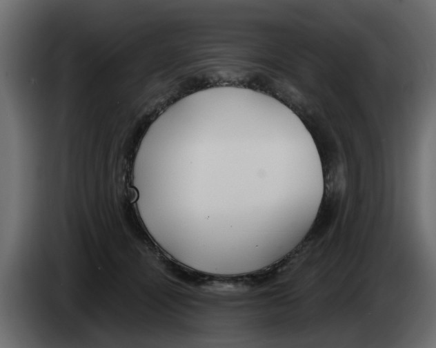 X0000083590464200703021850