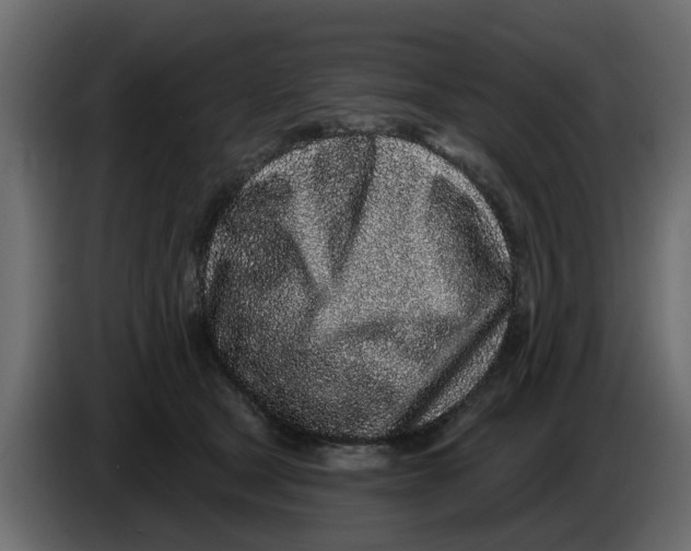 X0000083590465200703021850