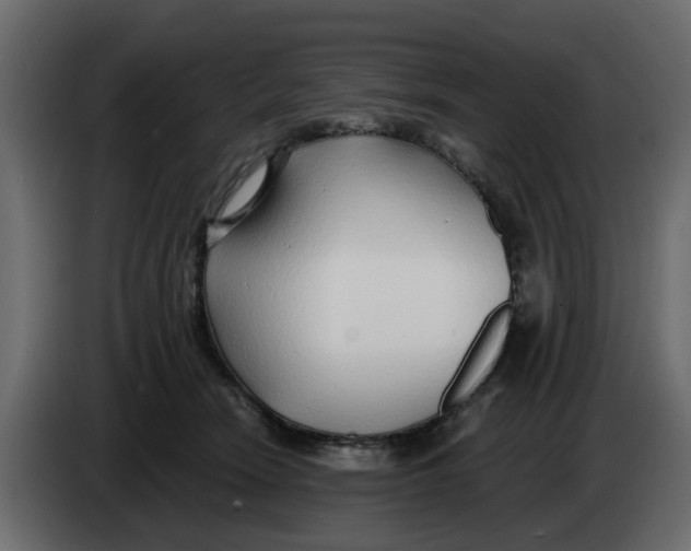 X0000083590466200703021850