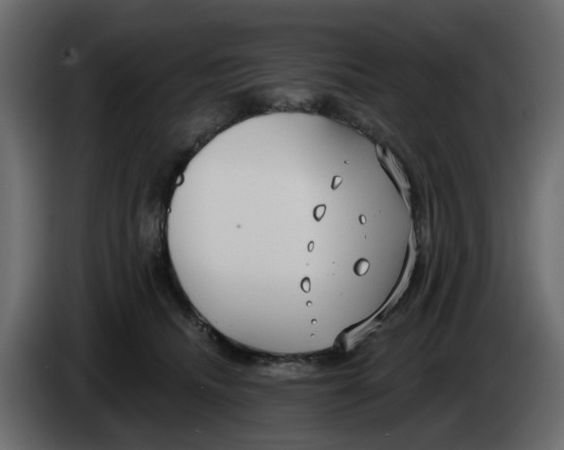 X0000083590468200703021850
