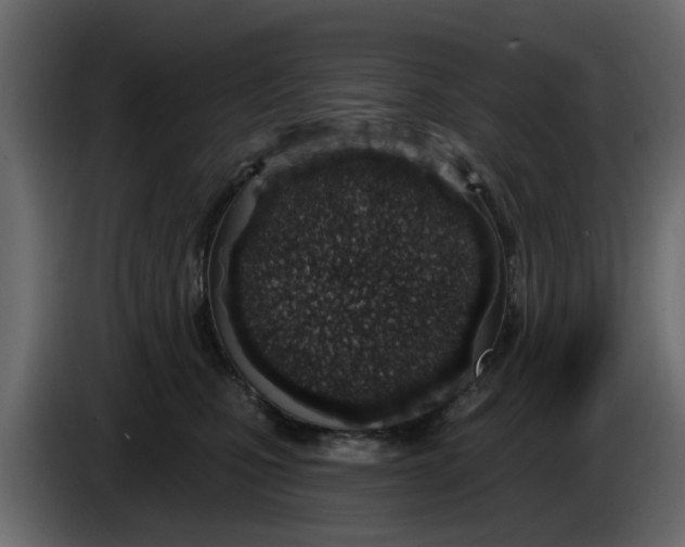X0000083590471200703021850