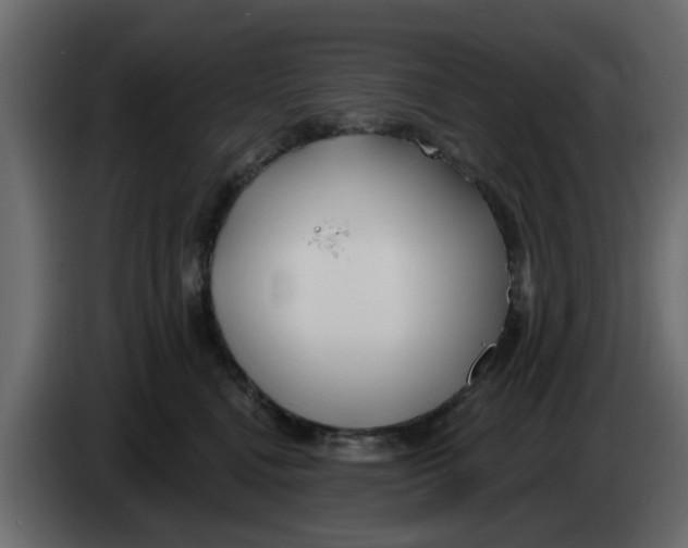 X0000083590472200703021850