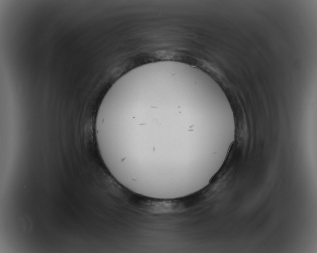X0000083590473200703021850