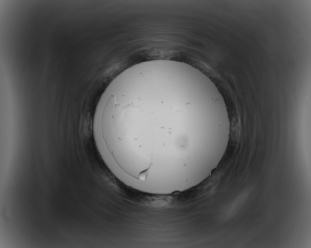 X0000083590474200703021850