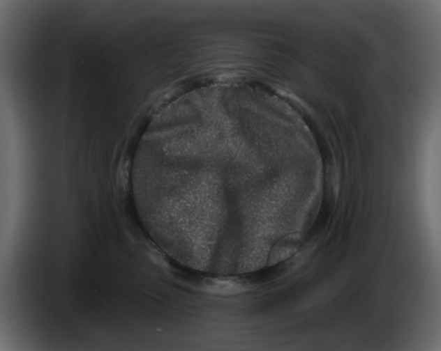 X0000083590475200703021850