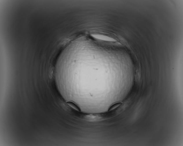 X0000083590477200703021850