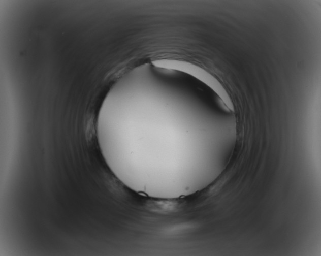 X0000083590478200703021850