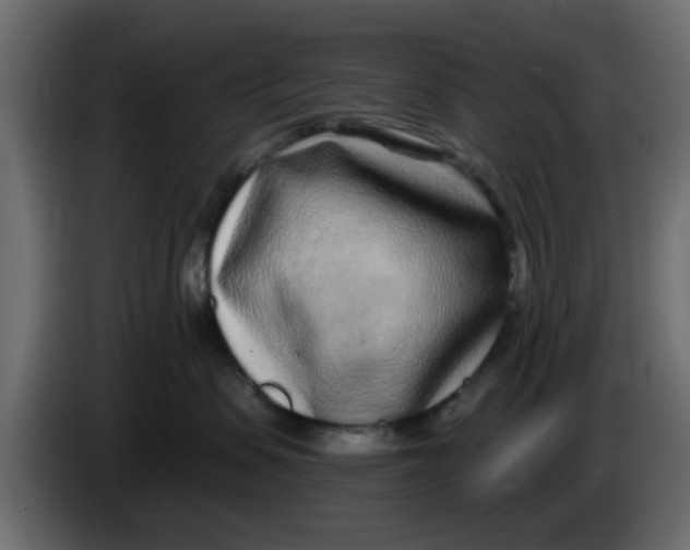 X0000083590479200703021850