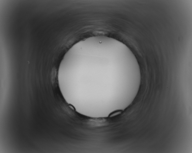 X0000083590480200703021850