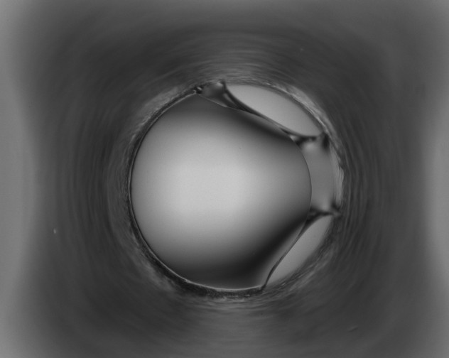 X0000083590481200703021849