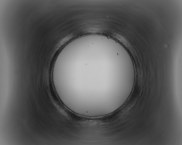 X0000083590482200703021849