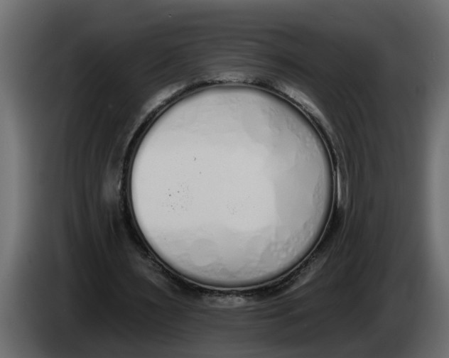 X0000083590483200703021849