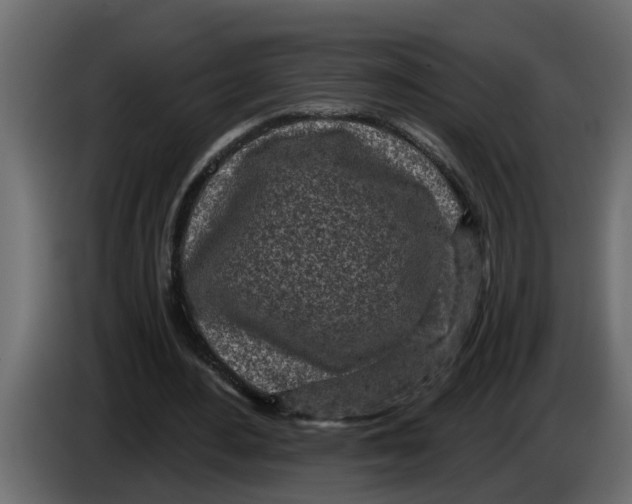 X0000083590484200703021849