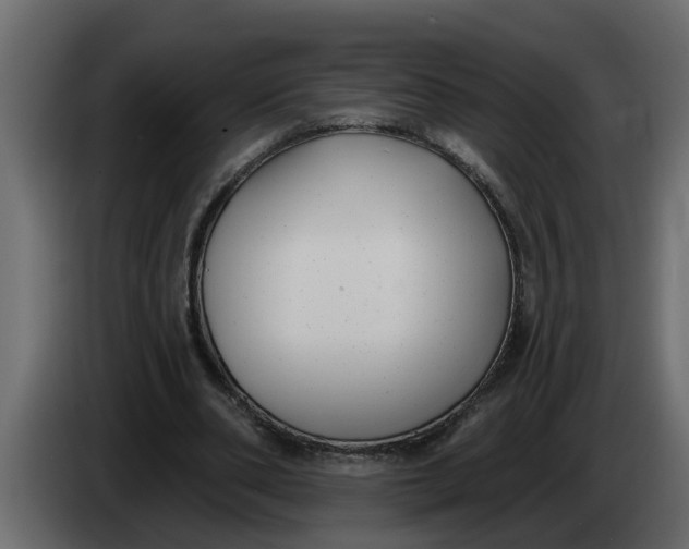 X0000083590486200703021849