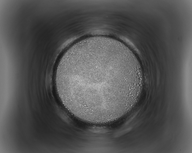 X0000083590487200703021849