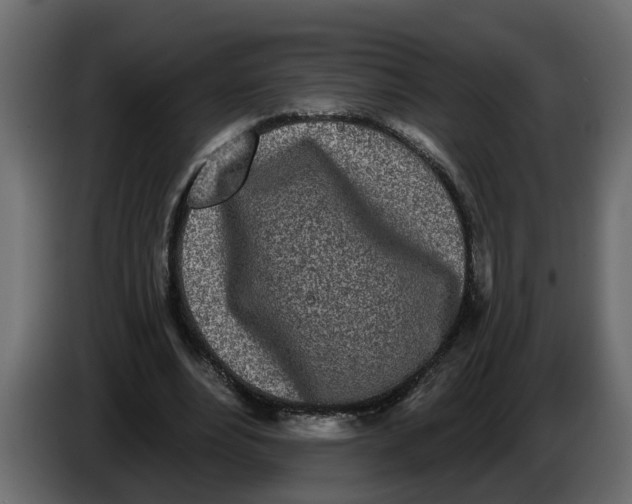 X0000083590488200703021849