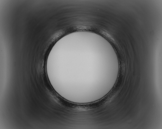 X0000083590490200703021849