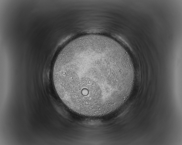 X0000083590491200703021849