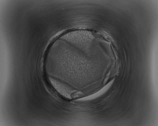 X0000083590492200703021849