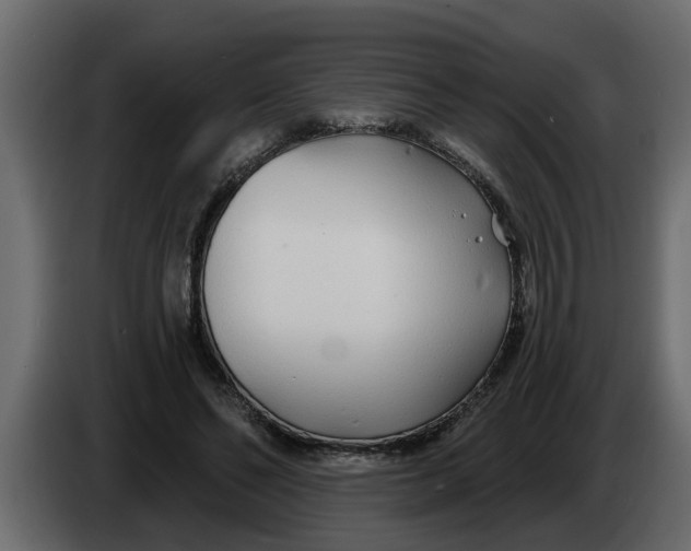 X0000083590494200703021849