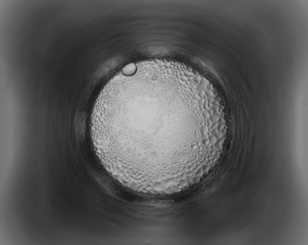 X0000083590495200703021849