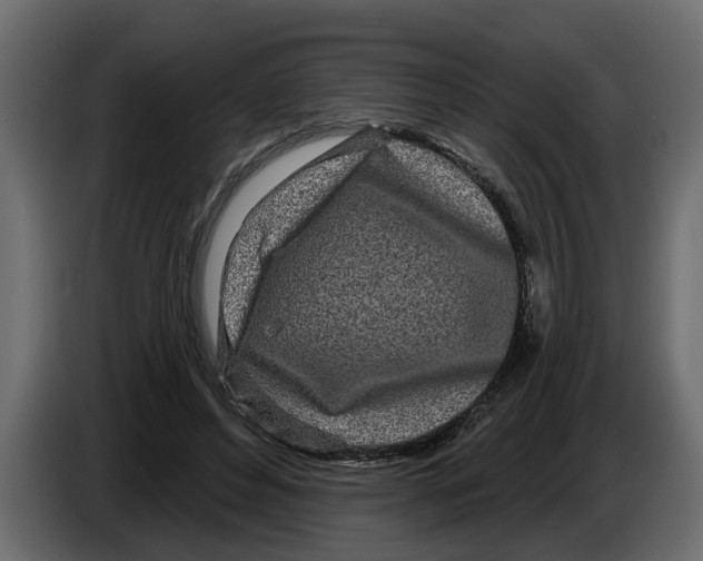 X0000083590496200703021849