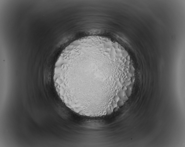 X0000083590499200703021849