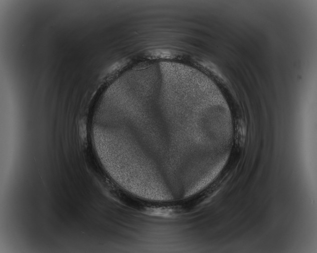X0000083590500200703021849