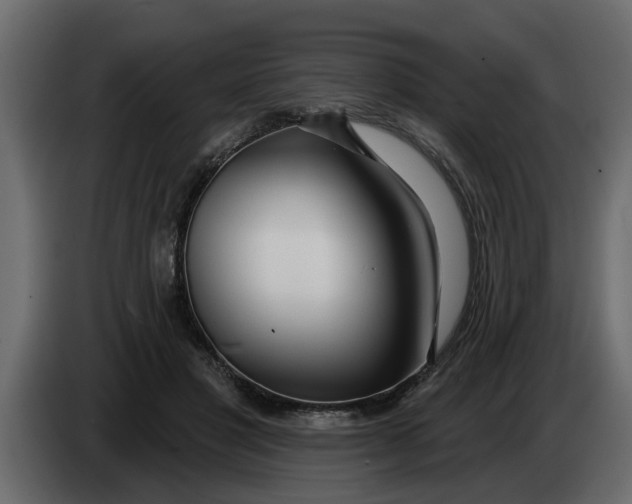X0000083590501200703021849
