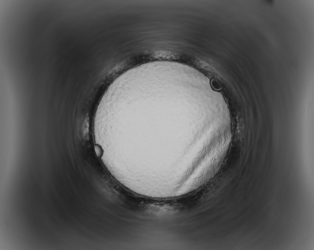X0000083590502200703021849