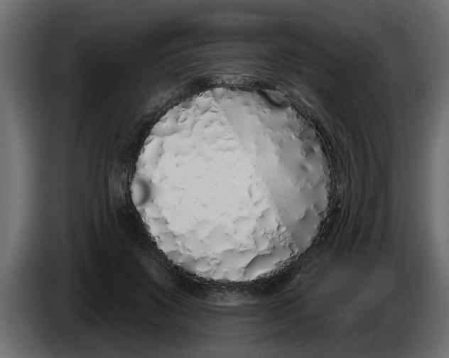 X0000083590503200703021849