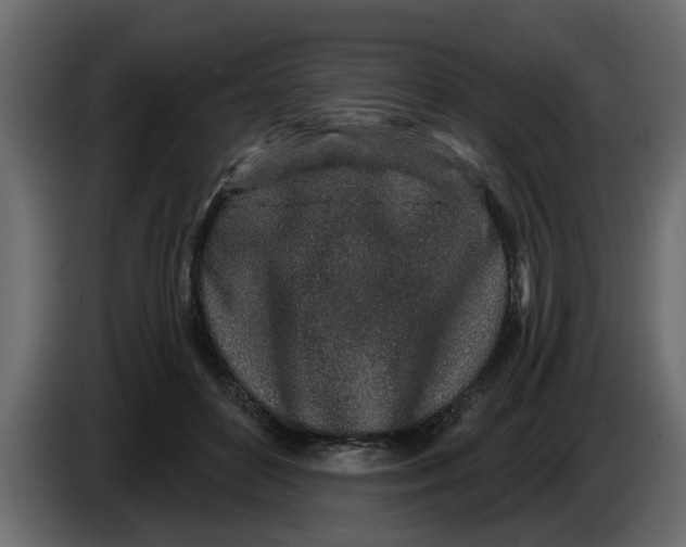X0000083590504200703021849