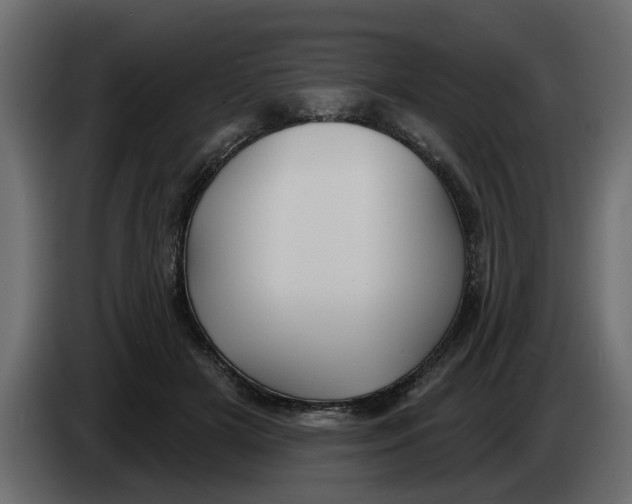 X0000083590505200703021849