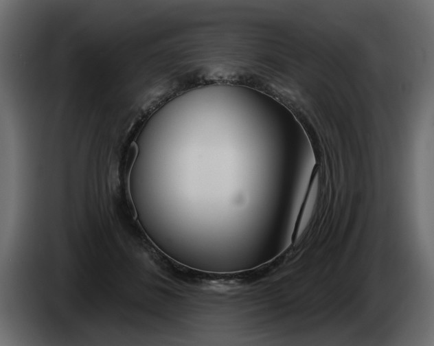 X0000083590508200703021849