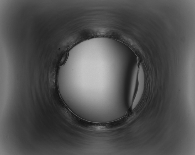 X0000083590509200703021849