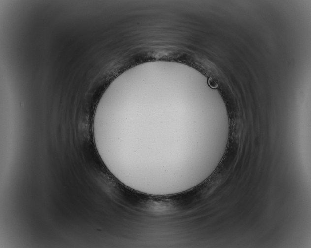 X0000083590510200703021849