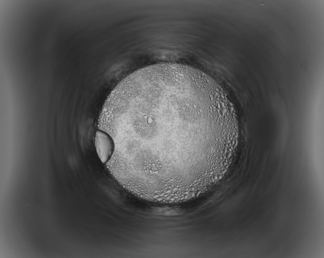 X0000083590511200703021849