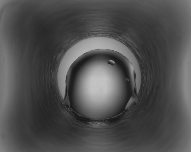 X0000083590512200703021849