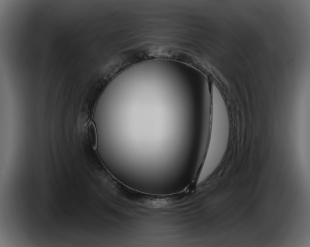 X0000083590513200703021848