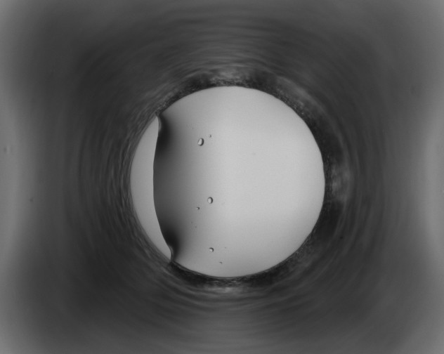 X0000083590514200703021848