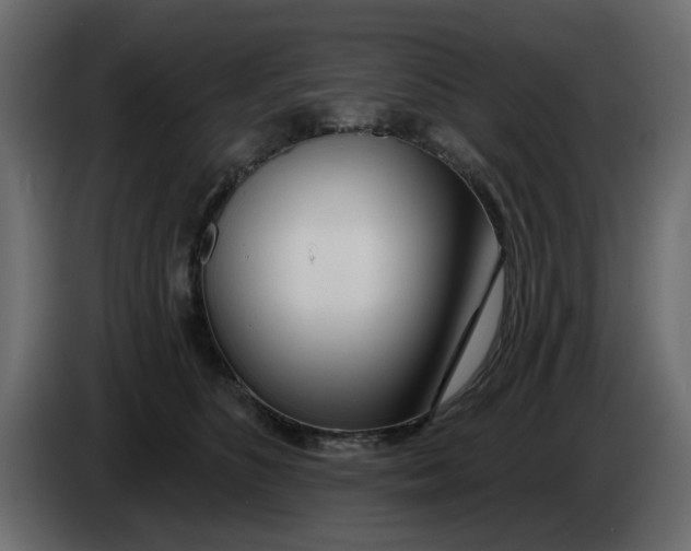 X0000083590516200703021848