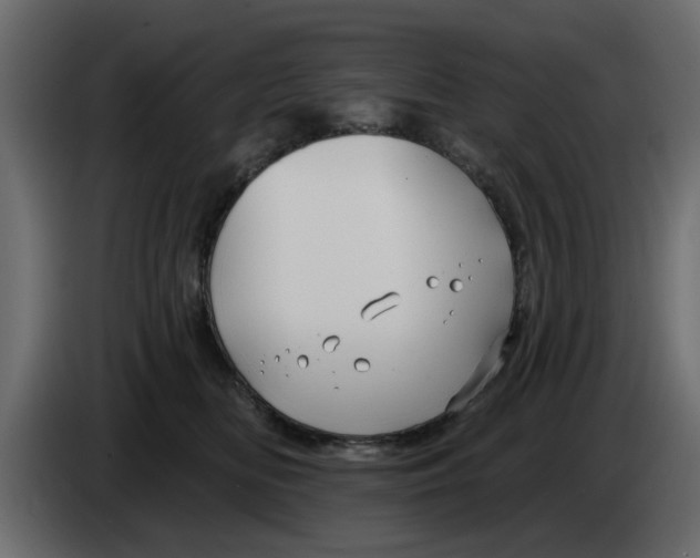 X0000083590518200703021848