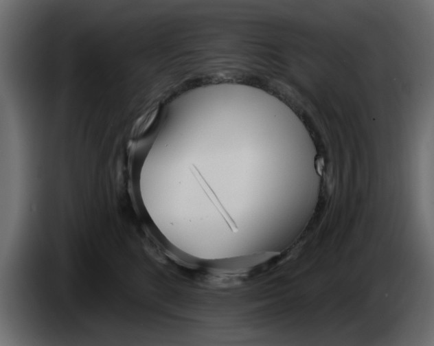 X0000083590520200703021848