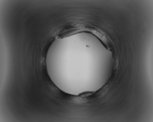 X0000083590521200703021848