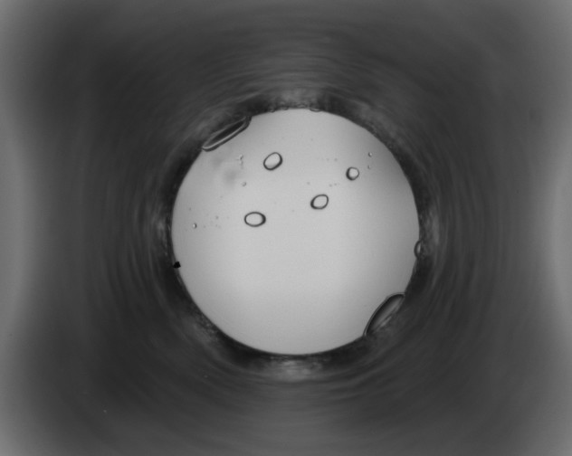 X0000083590522200703021848