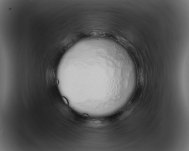 X0000083590523200703021848
