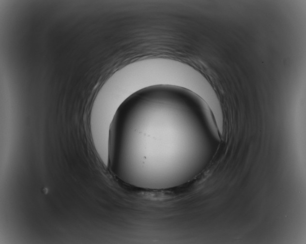 X0000083590524200703021848