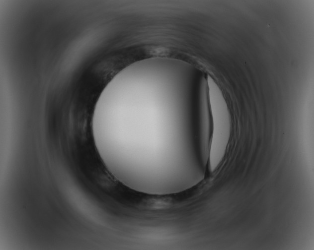 X0000083590525200703021848